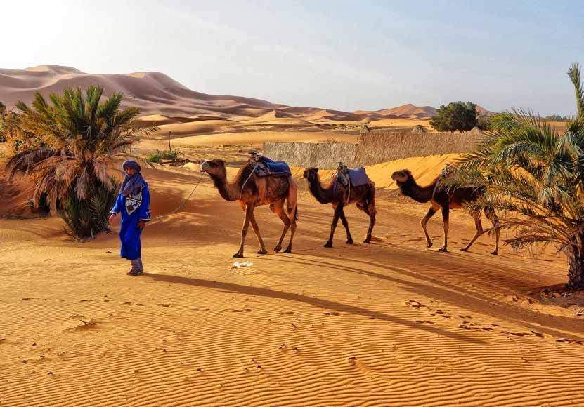 Merzouga bietet uns ein Bild wie aus 1000 und einer Nacht!