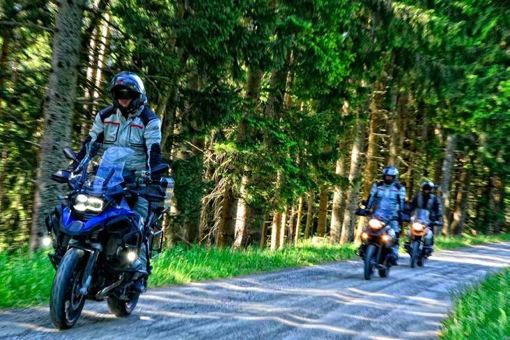 Zu unserem Ausflug gehören auch schöne Wege durch idyllische Wälder.