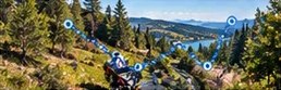 Bayerischer Wald
